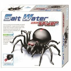Other Salt Water Spider